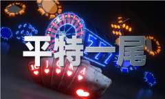 材料大全+正版材料2024年